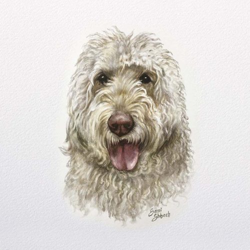 My-Pet-Portrait Shagy