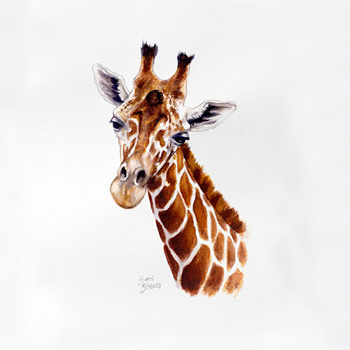 Giraffe